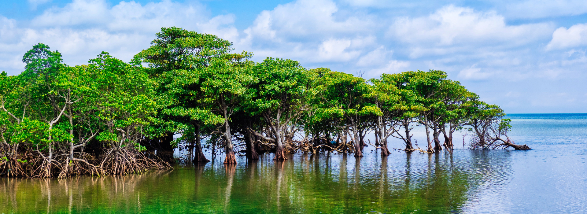 © Adobe Stock