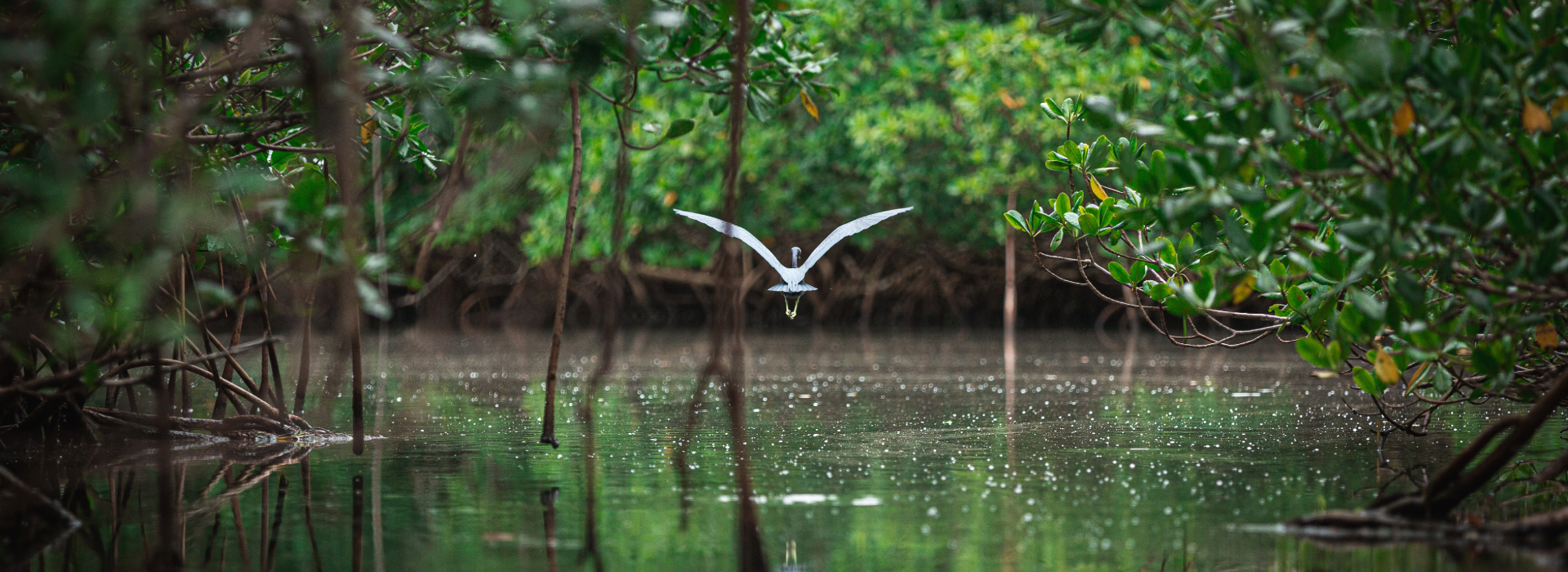 © Adobe Stock