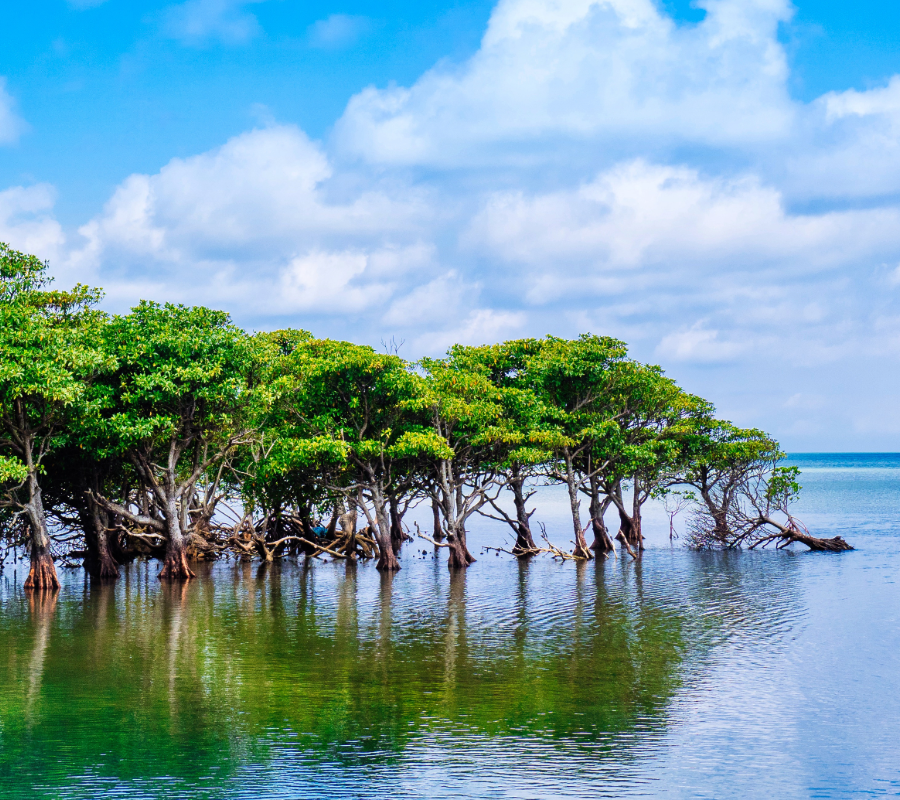 © Adobe Stock
