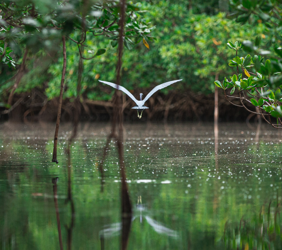 © Adobe Stock