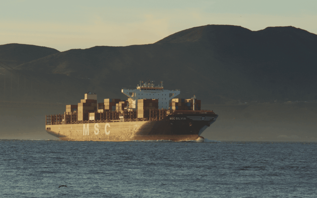 MSC lässt alte Schiffe unter katastrophalen Umständen verschrotten
