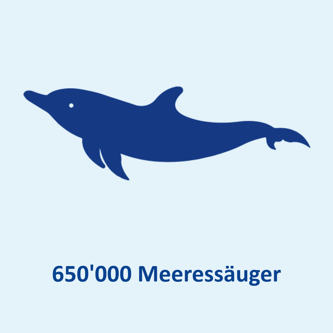 Meeressäuger