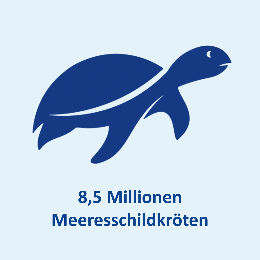 Meeresschildkröten