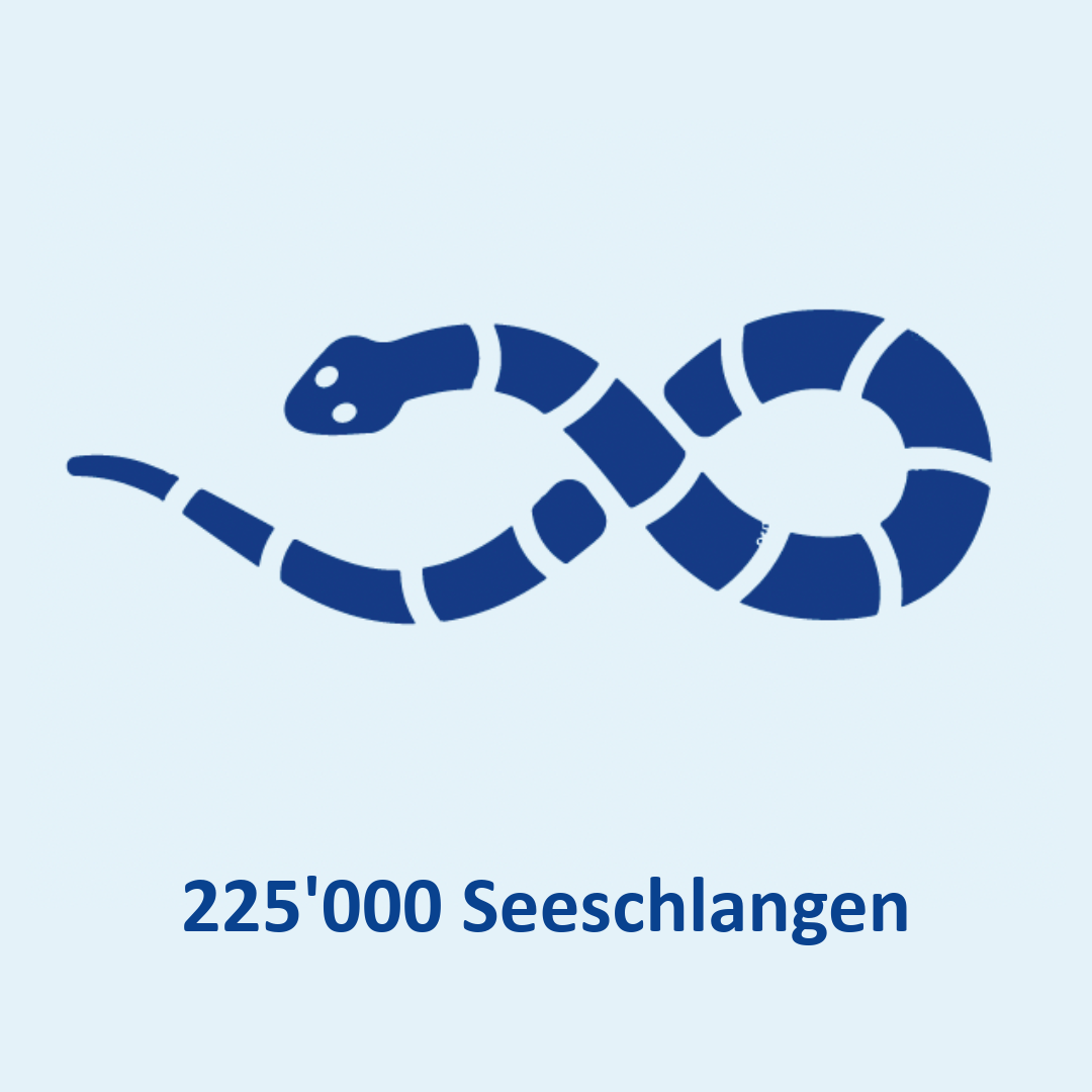 Seeschlangen