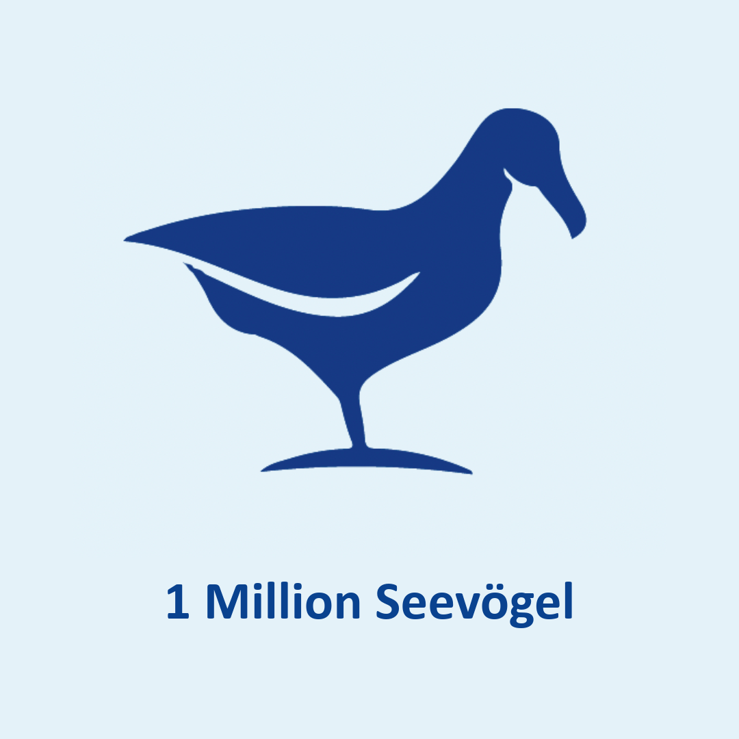 Seevögel