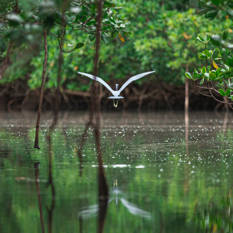 © Adobe Stock